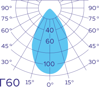 D-ARCHITEKT QUADRO 12